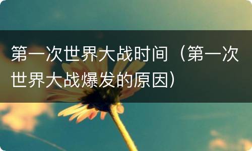 第一次世界大战时间（第一次世界大战爆发的原因）