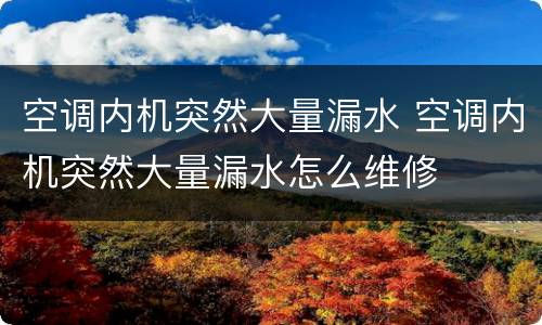 空调内机突然大量漏水 空调内机突然大量漏水怎么维修