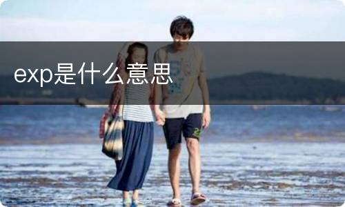 exp是什么意思