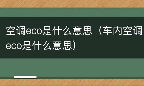 空调eco是什么意思（车内空调eco是什么意思）