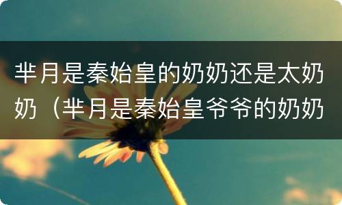 芈月是秦始皇的奶奶还是太奶奶（芈月是秦始皇爷爷的奶奶还是妈妈）