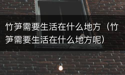 竹笋需要生活在什么地方（竹笋需要生活在什么地方呢）