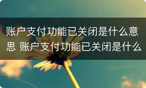 账户支付功能已关闭是什么意思 账户支付功能已关闭是什么意思?还冻结银行卡