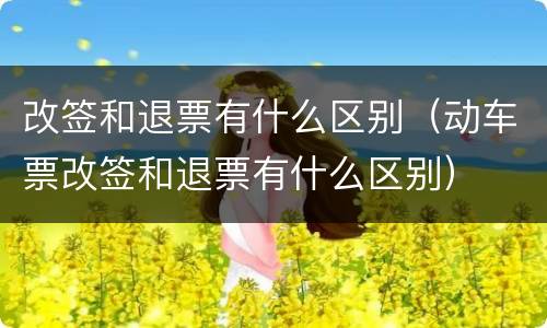 改签和退票有什么区别（动车票改签和退票有什么区别）