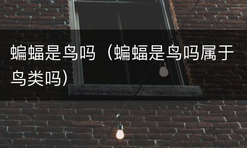 蝙蝠是鸟吗（蝙蝠是鸟吗属于鸟类吗）