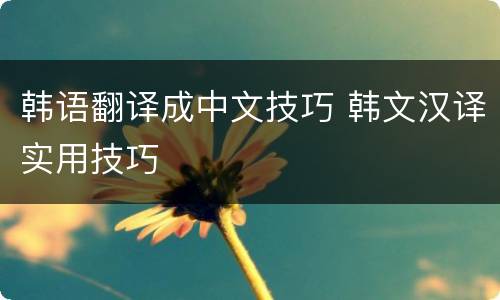 韩语翻译成中文技巧 韩文汉译实用技巧