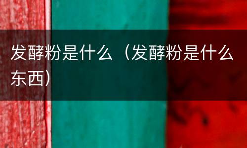 发酵粉是什么（发酵粉是什么东西）
