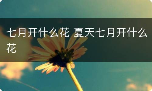 七月开什么花 夏天七月开什么花