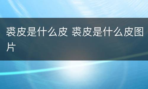 裘皮是什么皮 裘皮是什么皮图片