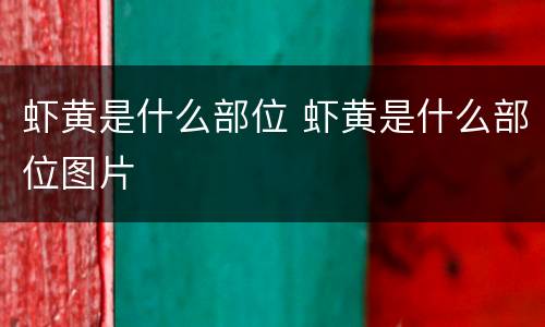 虾黄是什么部位 虾黄是什么部位图片