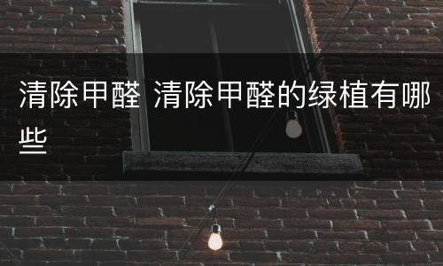 清除甲醛 清除甲醛的绿植有哪些