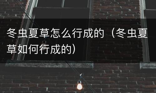 冬虫夏草怎么行成的（冬虫夏草如何行成的）