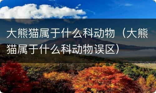大熊猫属于什么科动物（大熊猫属于什么科动物误区）