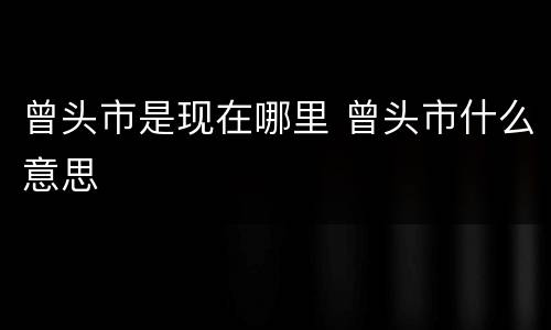 曾头市是现在哪里 曾头市什么意思