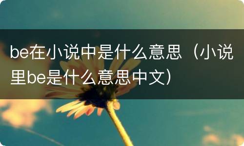 be在小说中是什么意思（小说里be是什么意思中文）