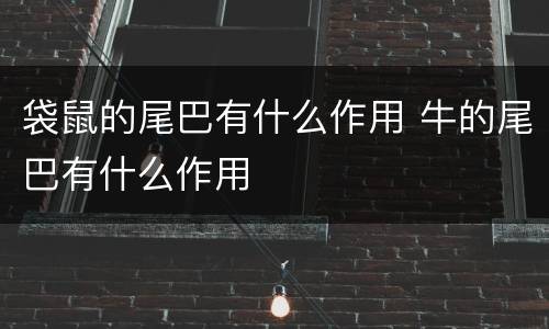 袋鼠的尾巴有什么作用 牛的尾巴有什么作用