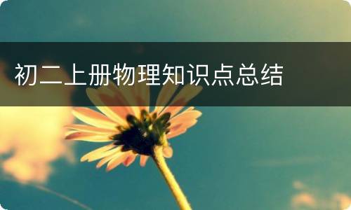 初二上册物理知识点总结