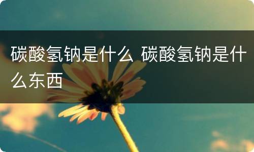 碳酸氢钠是什么 碳酸氢钠是什么东西