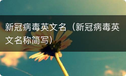 新冠病毒英文名（新冠病毒英文名称简写）