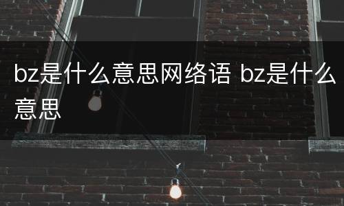 bz是什么意思网络语 bz是什么意思