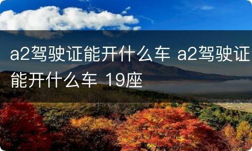a2驾驶证能开什么车 a2驾驶证能开什么车 19座