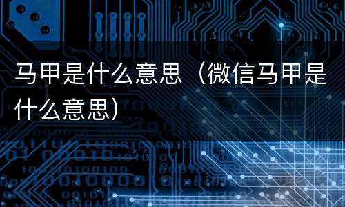 马甲是什么意思（微信马甲是什么意思）