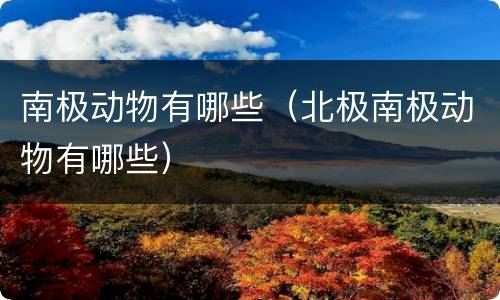 南极动物有哪些（北极南极动物有哪些）