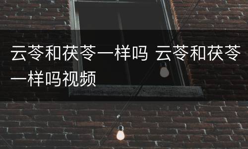 云苓和茯苓一样吗 云苓和茯苓一样吗视频