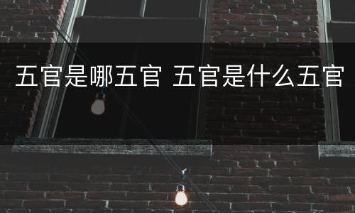 五官是哪五官 五官是什么五官