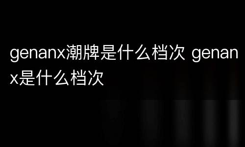 genanx潮牌是什么档次 genanx是什么档次