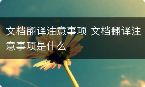 文档翻译注意事项 文档翻译注意事项是什么