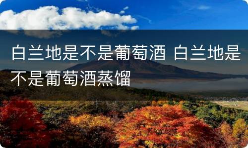 白兰地是不是葡萄酒 白兰地是不是葡萄酒蒸馏