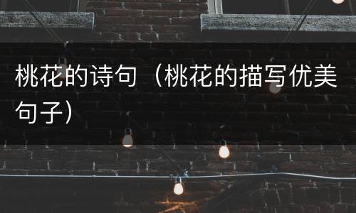 桃花的诗句（桃花的描写优美句子）