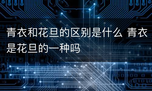 青衣和花旦的区别是什么 青衣是花旦的一种吗