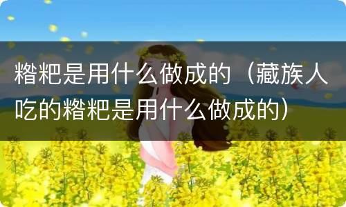 糌粑是用什么做成的（藏族人吃的糌粑是用什么做成的）