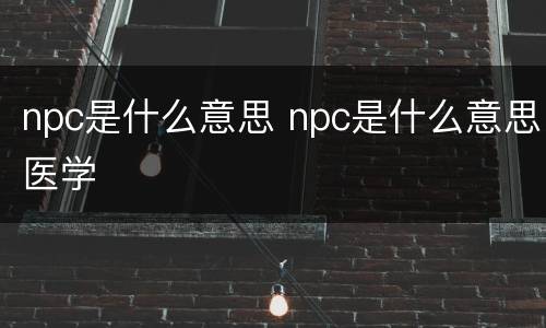 npc是什么意思 npc是什么意思医学