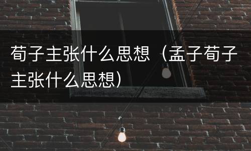 荀子主张什么思想（孟子荀子主张什么思想）