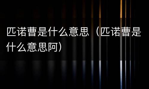 匹诺曹是什么意思（匹诺曹是什么意思阿）