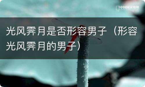 光风霁月是否形容男子（形容光风霁月的男子）