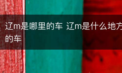 辽m是哪里的车 辽m是什么地方的车