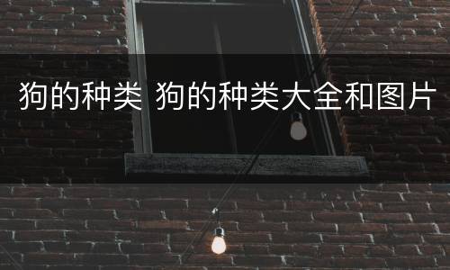 狗的种类 狗的种类大全和图片
