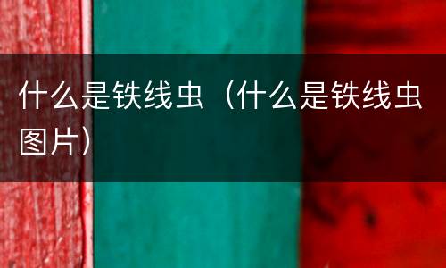 什么是铁线虫（什么是铁线虫图片）