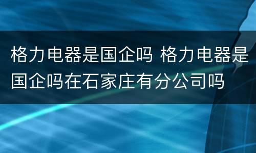 格力电器是国企吗 格力电器是国企吗在石家庄有分公司吗