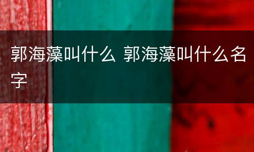 郭海藻叫什么 郭海藻叫什么名字