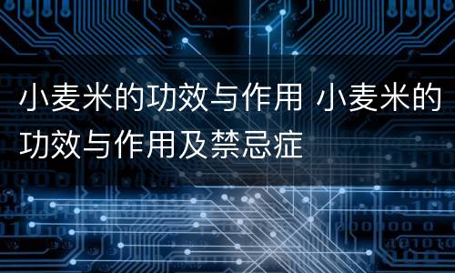 小麦米的功效与作用 小麦米的功效与作用及禁忌症
