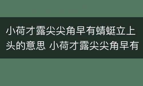 小荷才露尖尖角早有蜻蜓立上头的意思 小荷才露尖尖角早有蜻蜓立上头怎么解释