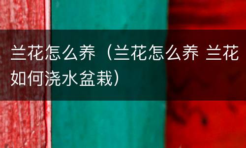 兰花怎么养（兰花怎么养 兰花如何浇水盆栽）