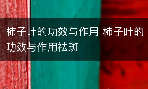 柿子叶的功效与作用 柿子叶的功效与作用祛斑