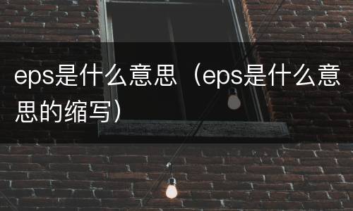 eps是什么意思（eps是什么意思的缩写）