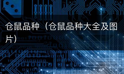 仓鼠品种（仓鼠品种大全及图片）